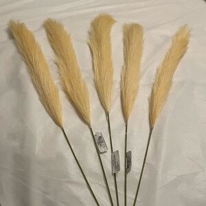 NWT Elegant Cream Pampas Grass Stems, each Stem is 22inch: 13” iPampas, 9” istem